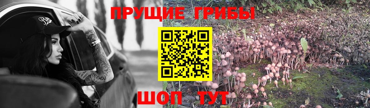 Дмитров  Галлюциногенные грибы мицелий  Вход с VPN 