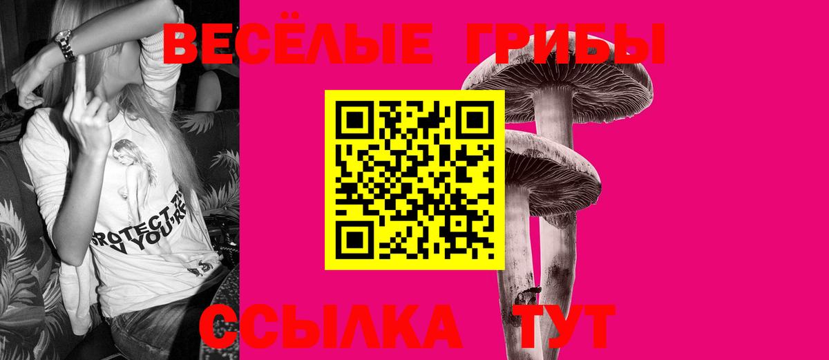 Псилоцибиновые грибы мухоморы Дмитров