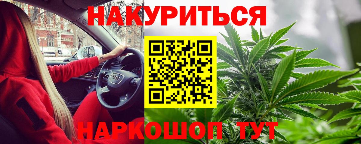 Шишки марихуана планчик Дмитров